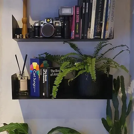 Center Urban Lägenhet