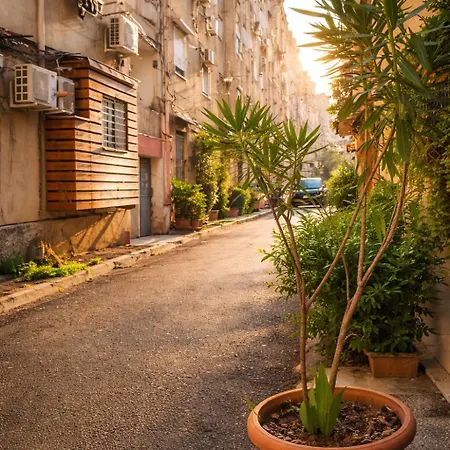 Daire Center Urban